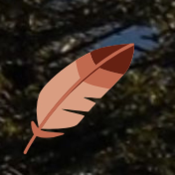 Top Attractions in Mechuka: