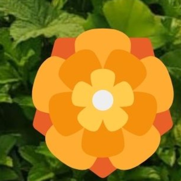 Hogenakkal Eco-Tourism