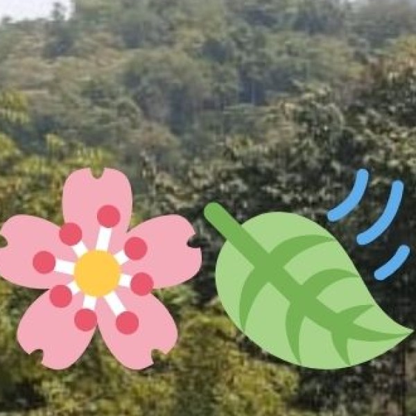 Benreu – A Hidden Mountain Village