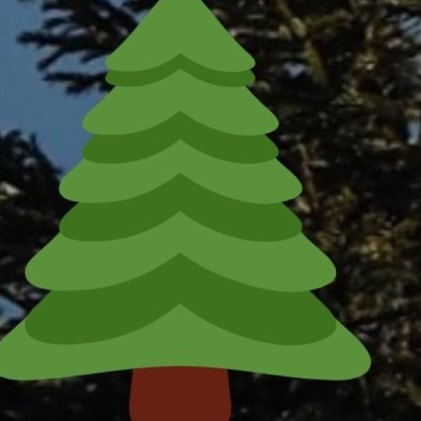 Khonoma – Asia’s First Green Village