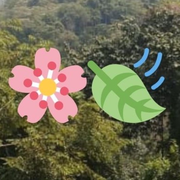 • Silvassa (Dadra & Nagar Haveli):