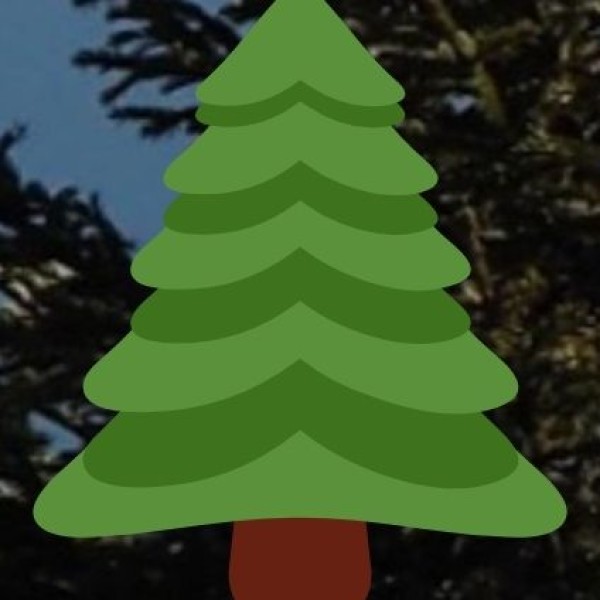 Popular Hill Stations in Karnataka