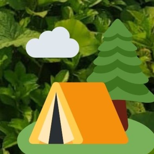 Diphu – Cultural Hill Town in Karbi Anglong