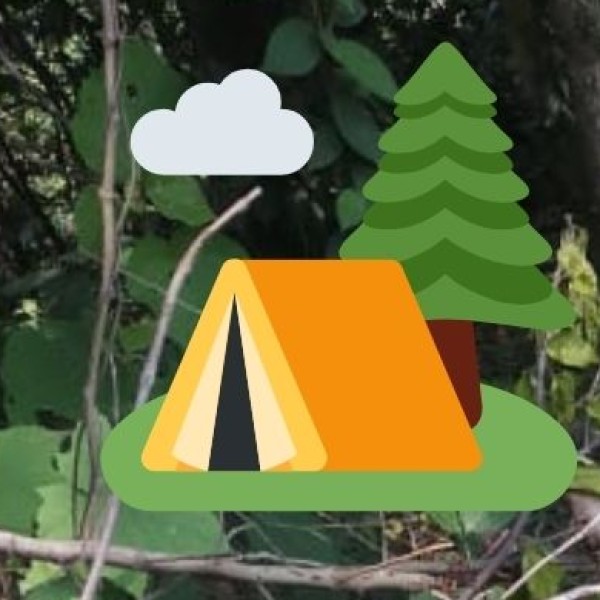 • Saputara (Gujarat):