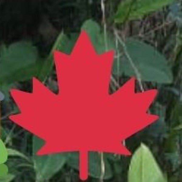 Hill Station & Mountain Tourism