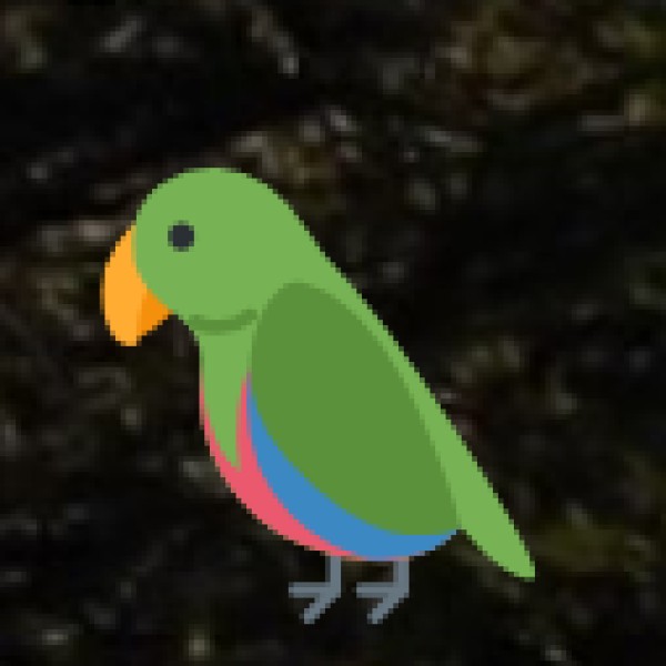 Nal Sarovar Bird Sanctuary – Gujarat’s Birdwatching Paradise