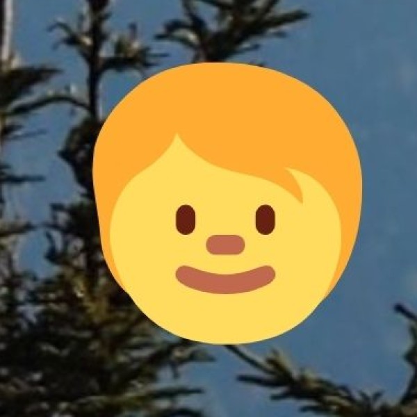 Future Challenges & Considerations