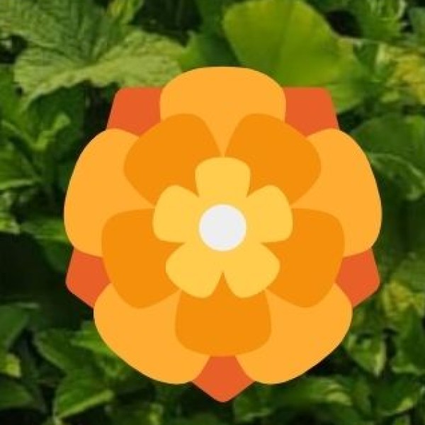 Dandeli (Uttara Kannada)