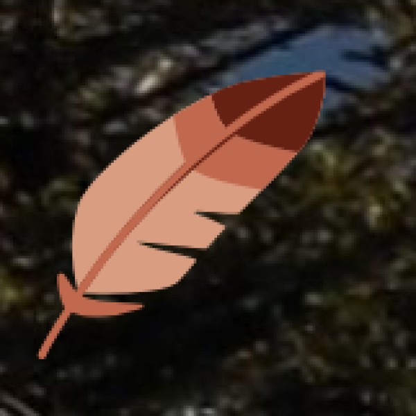 Best Time to Visit Hill Stations in Gujarat