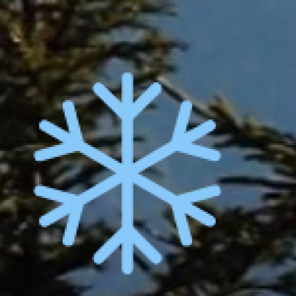  Mawsmai Cave & Arwah Cave: