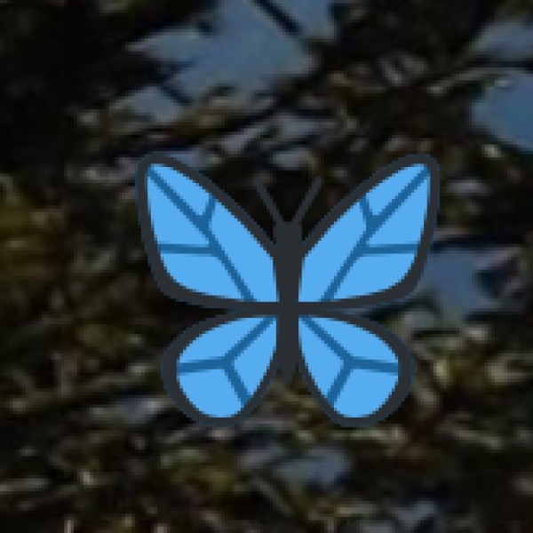 Neela Hauz Biodiversity Park