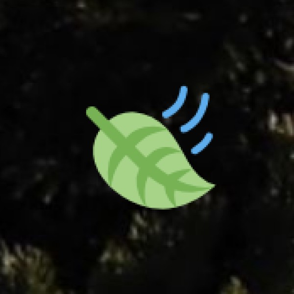 Curated Wellness & Ayurveda Retreats