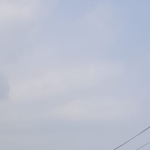 Yamuna Biodiversity Park