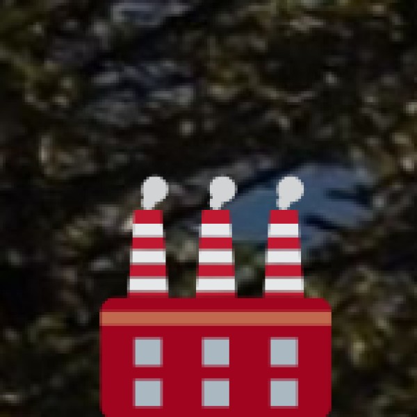 Amber Fort & Palace, Jaipur