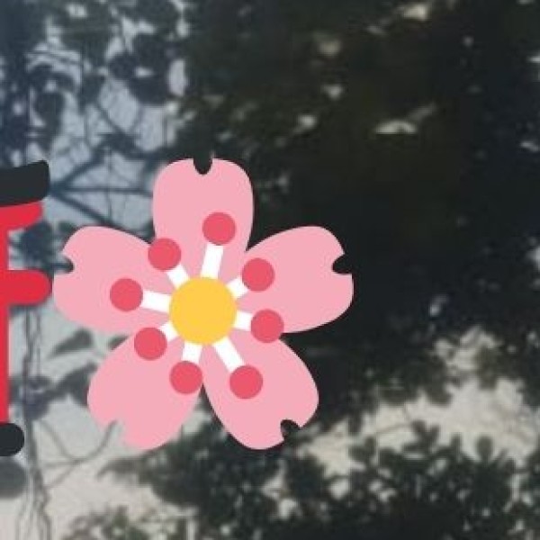 Aravalli Biodiversity Park