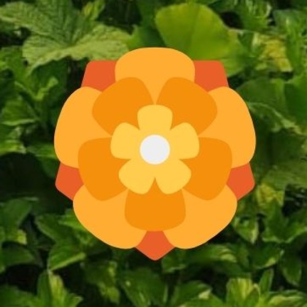 Tourism Infrastructure & Connectivity