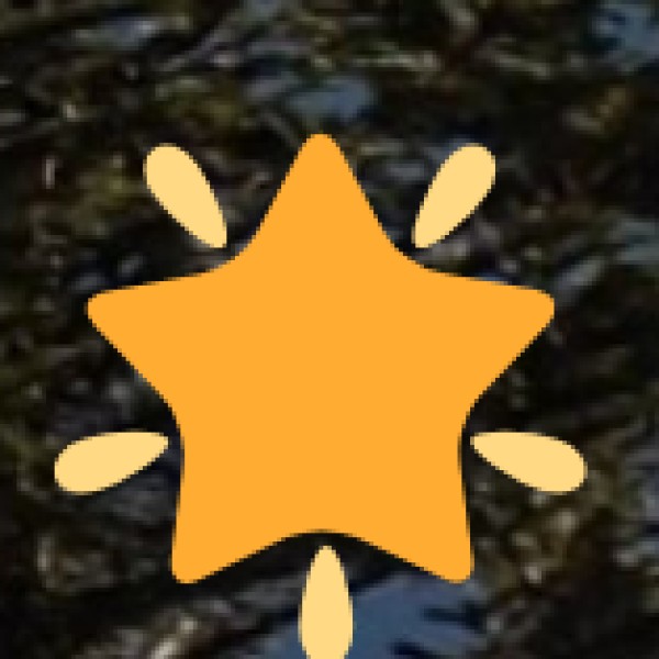 Sonmarg – The Meadow of Gold