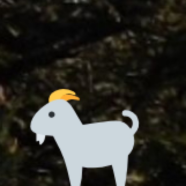 Pelling (West Sikkim)