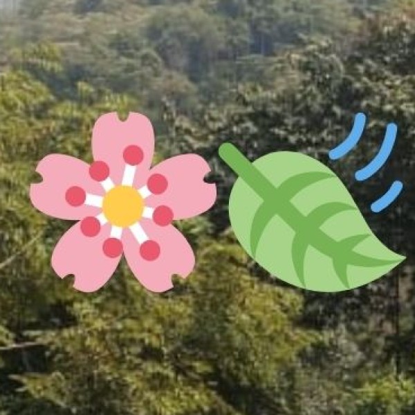 Gulmarg – The Skiing Capital of India