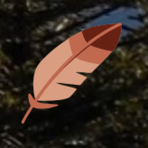 Tyda Jungle Bells Nature Camp