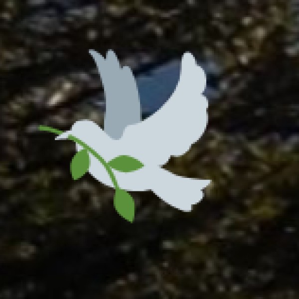 Birdwatching & Photography in the Western Ghats