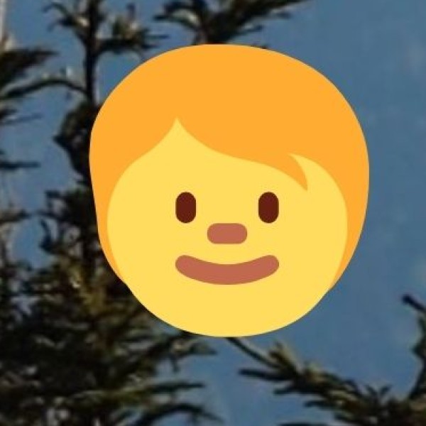 Nameri National Park & Eco Camp (Sonitpur district)