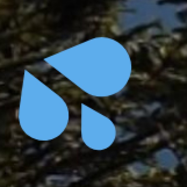 • Rivers and Estuaries: