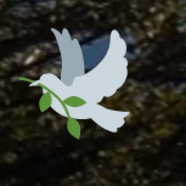 ASSAM'S ECO-TOURISM INITIATIVES