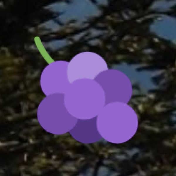 Mahabaleshwar – The Land of Strawberries & Scenic Views