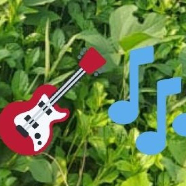 6. Art & Music