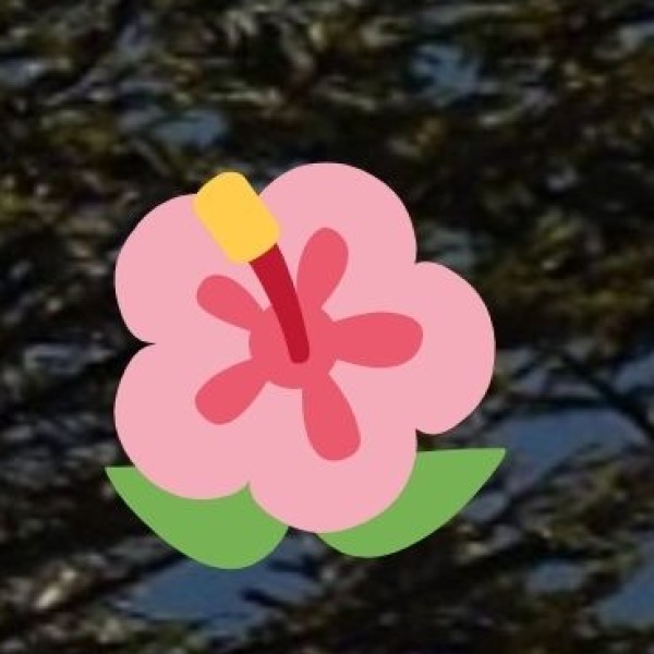 Sonmarg – The Meadow of Gold