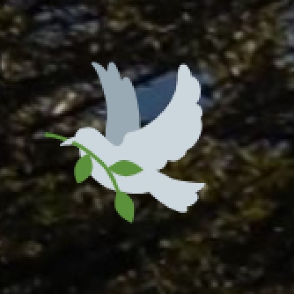 Tso Kar – The White Lake