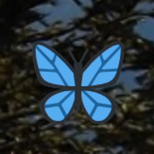 Mangalavanam Bird Sanctuary