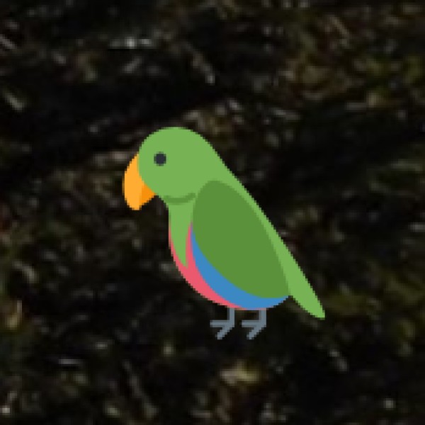 Birdwatching & Nature Photography at Lakes