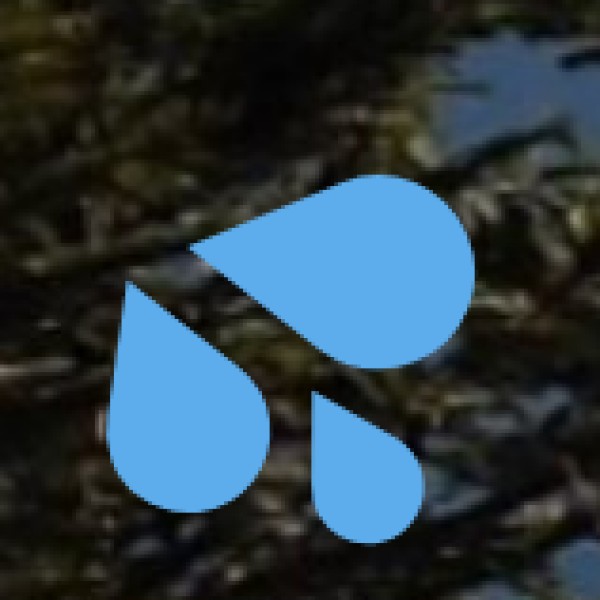 Shamirpet Lake – A Birdwatcher’s Paradise