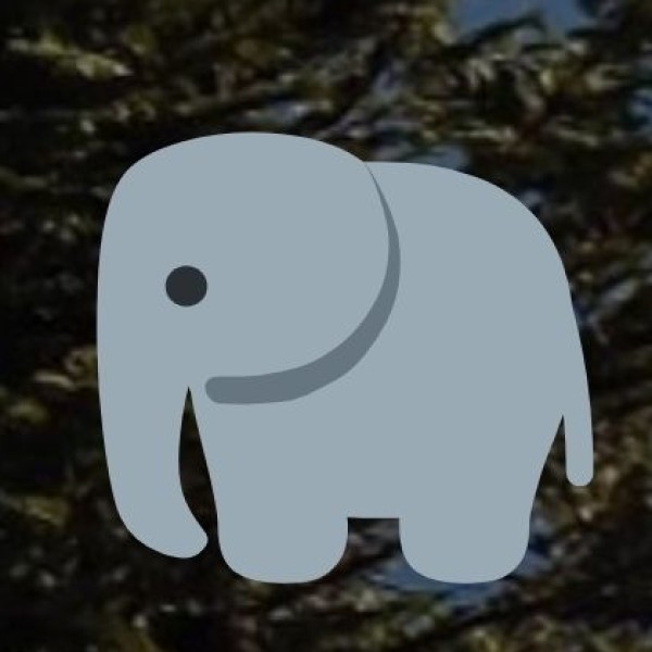 . Wayanad Wildlife Sanctuary