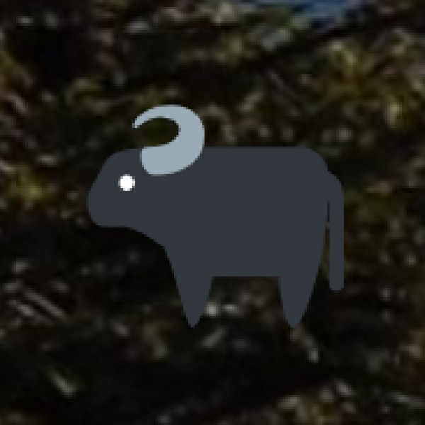 Periyar Wildlife Sanctuary – The Jungle Birding Spot