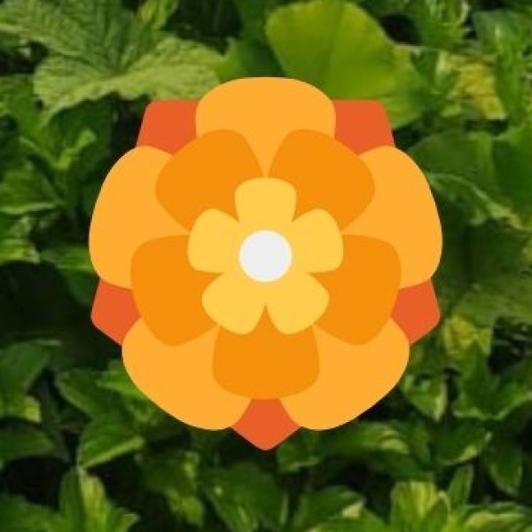 Spiritual Significance