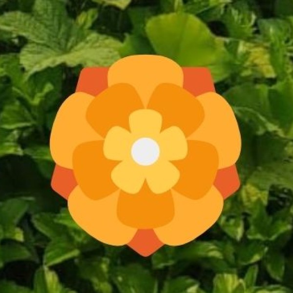 Gadsar Lake (Kashmir) – The Valley of Flowers Lake