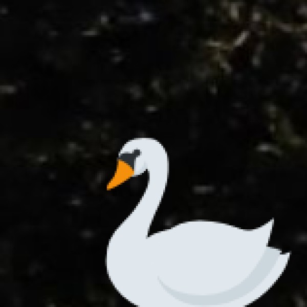 Best Birdwatching Destinations