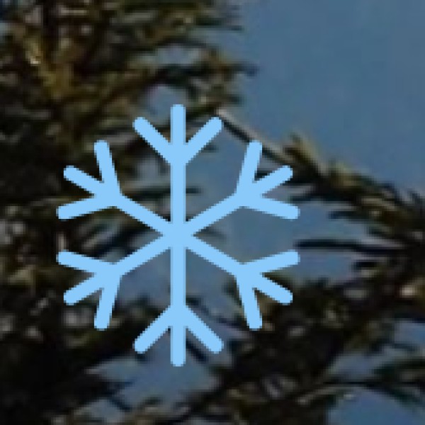 Experience the Magic of Sikkim’s Lakes!