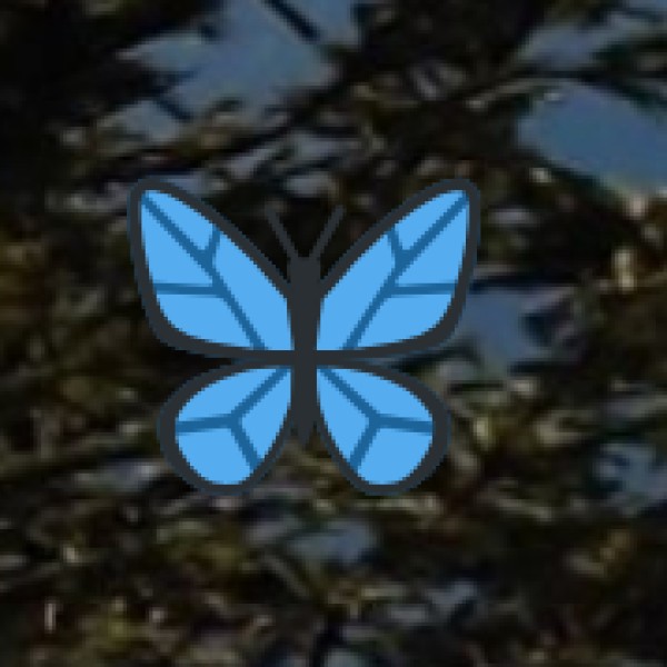 Lakes & Scenic Views of Ladakh – Nature’s Mirror in the Himalayas