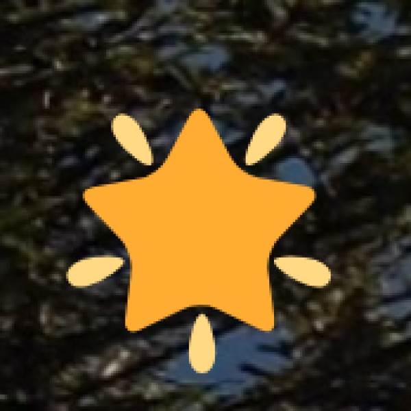 Tso Moriri Lake (Ladakh) – A Hidden High-Altitude Paradise