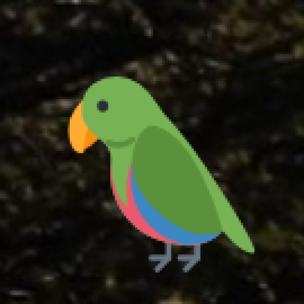 Thattekad Bird Sanctuary – The Birdwatcher’s Paradise