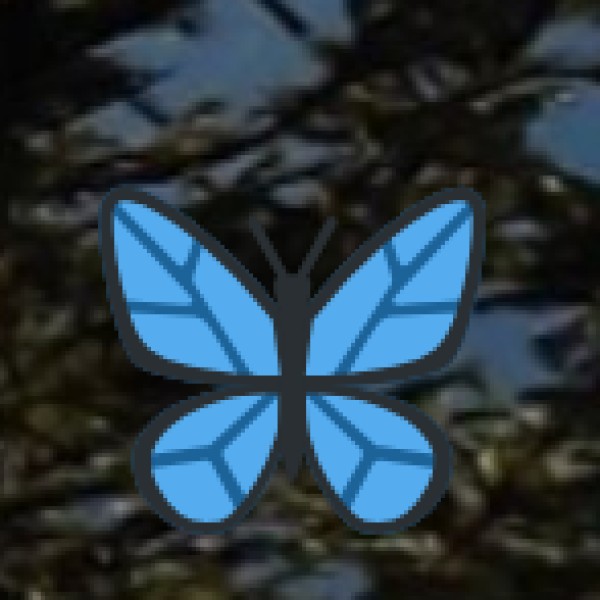 Carambolim Lake – Near Old Goa