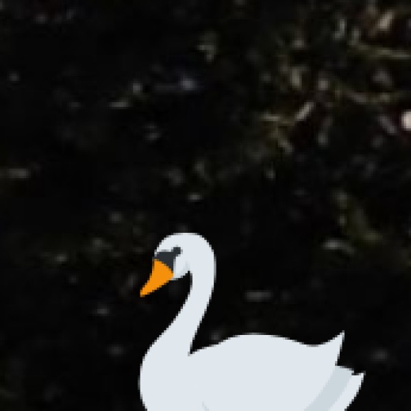 Kumarakom Bird Sanctuary – The Wetland Haven