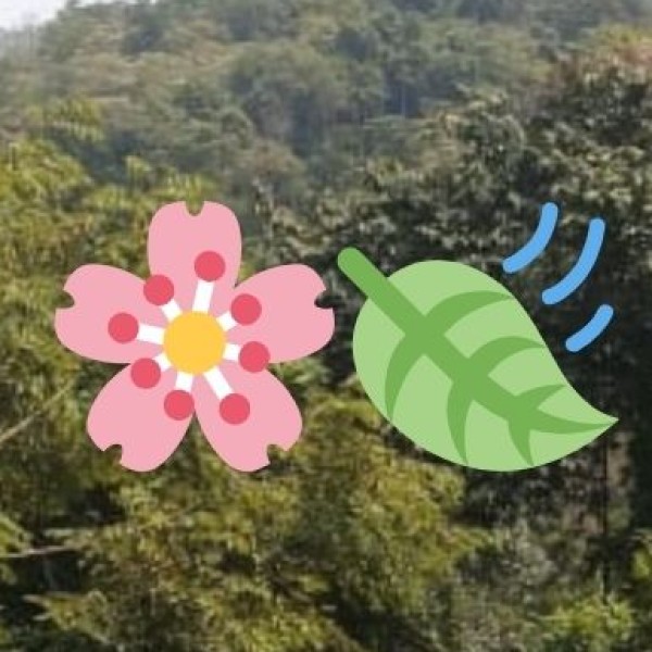 Travel Tips for Lake Exploration: