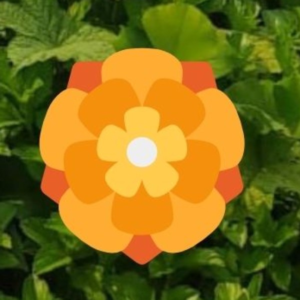 Gurez Valley – An Offbeat Himalayan Wonderland