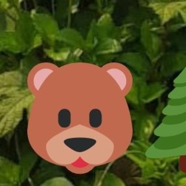 Silent Valley National Park – The Pristine Rainforest