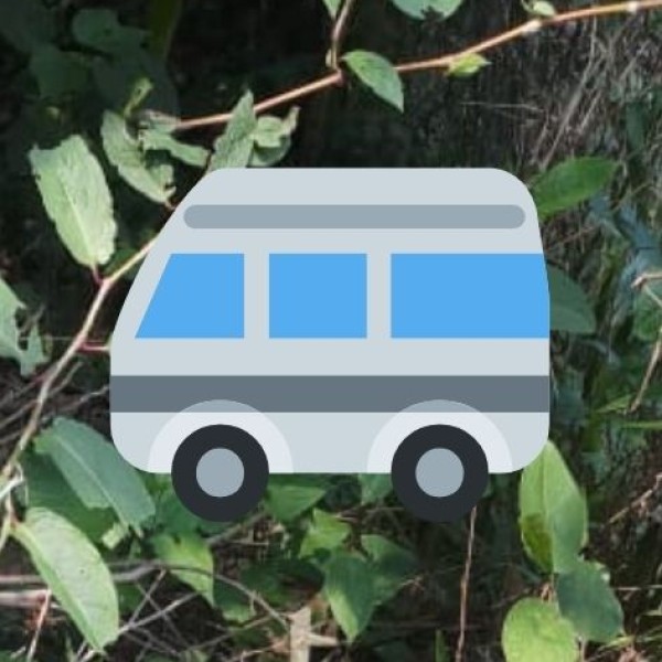 By Road – Private Cars, Taxis & Buses